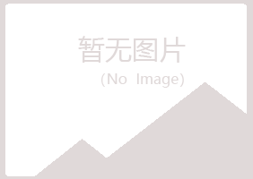 邢台紫山采矿有限公司